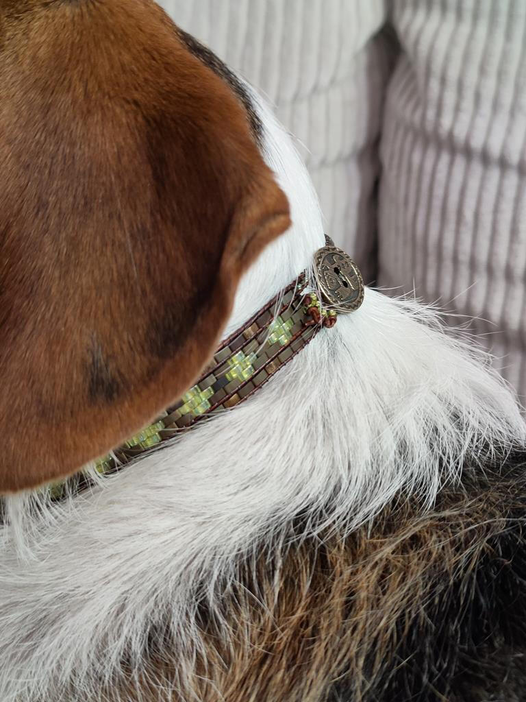 Hunde Schmuck ;)
